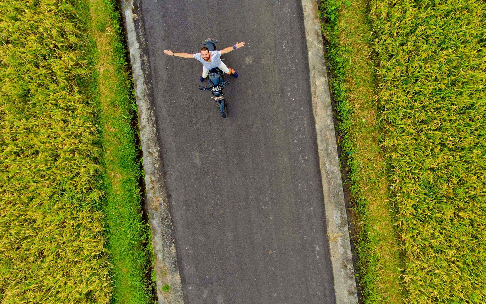 Confetti are a worst drone enemy